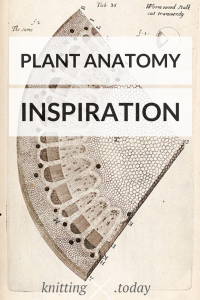 Plant Anatomy Inspiration