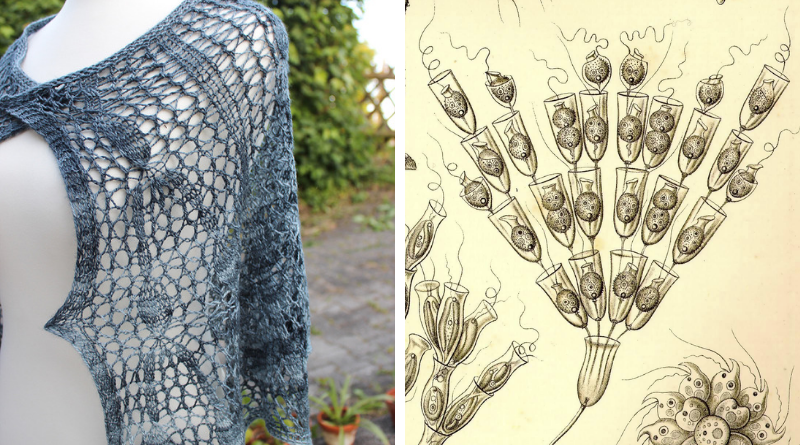 Poteridendron Petiolatum shawl knitting pattern release