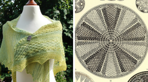 Aulacodiscus Grevilleanus shawl knitting pattern release