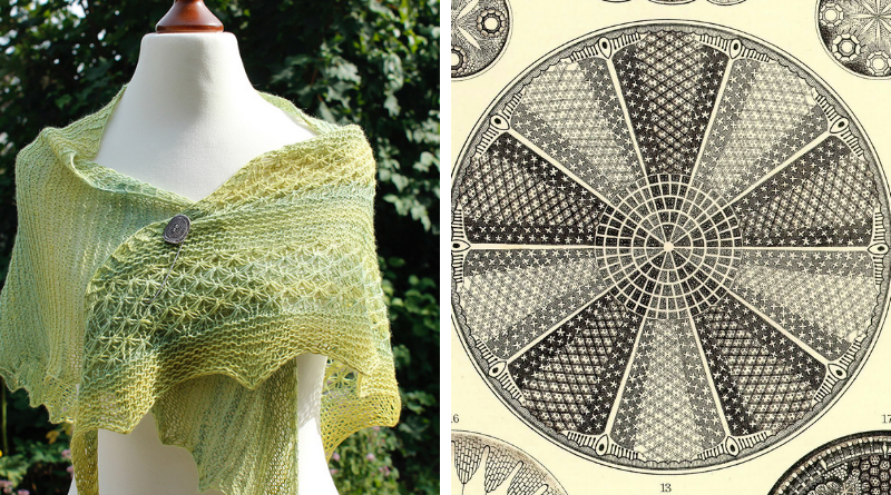 Aulacodiscus Grevilleanus shawl knitting pattern release